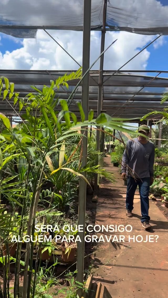 Instagram post from tomplantas. This post is in position 1.