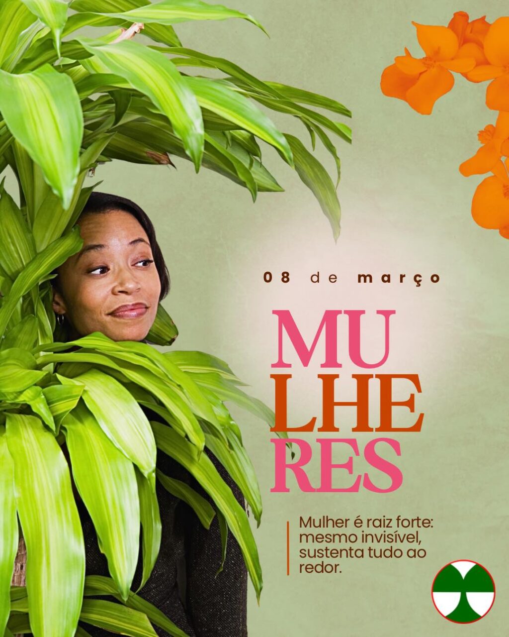 Instagram post from tomplantas. This post is in position 2.